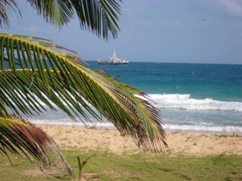 Corn Island Apartamento | 'Crows Nest' Studio Apt.