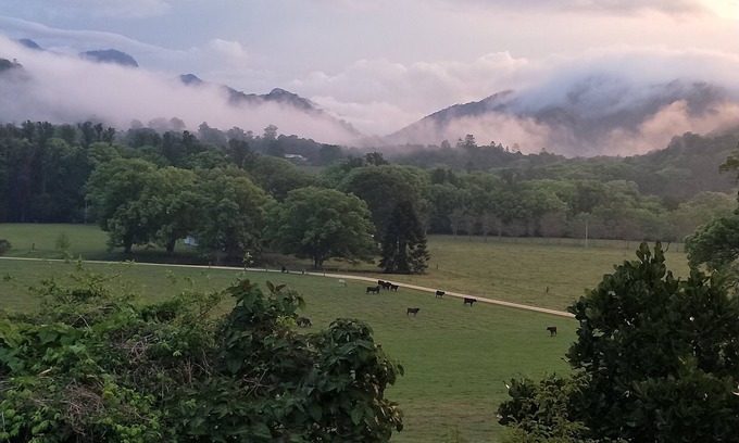 Crystal Creek Cabaña | Crystal Creek Cottage