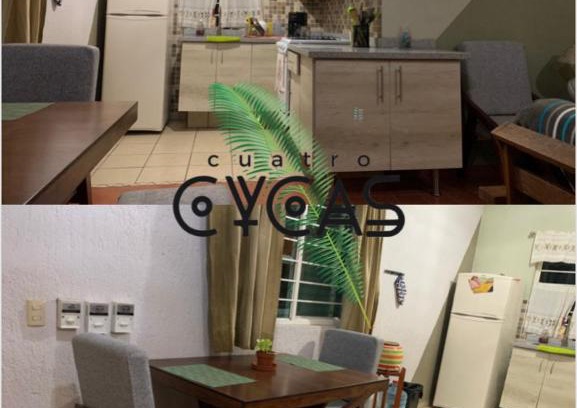 Tlajomulco de Zuniga Complejo | Cuatro Cycas