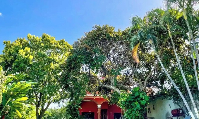 Campeche Casa | Cuevita + Nido /Piscina & Jardín compartido🥥🤍✨nn