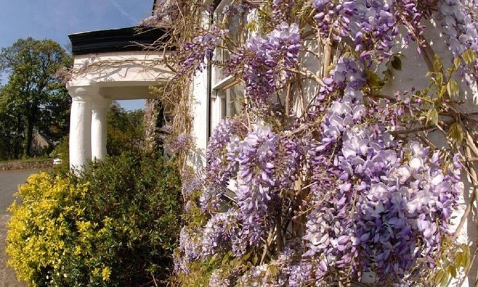 Haverfordwest Casa | Cuffern Manor