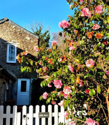 Saltash Casa | Cute Cornish Cottage