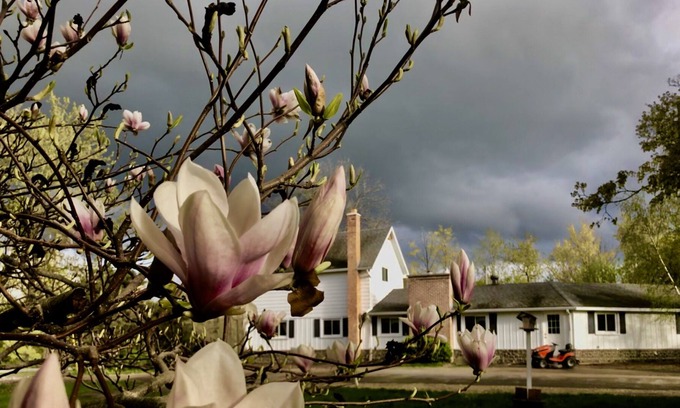 Traverse City Otro | Large farm house + separate apartment near downtown Traverse City, creek bonfire