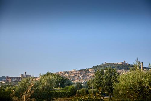 Santa Maria degli Angeli Apartamento | Da Carla