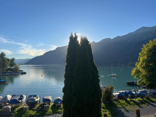 Brienz Apartamento | Dachwohnung mit Balkon am Brienzersee, Brienz BE