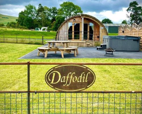 St Harmon Casa | Daffodil