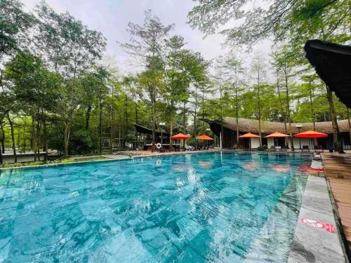 Ngoc Quang Casa | Dai Lai Resort- Forest Villa