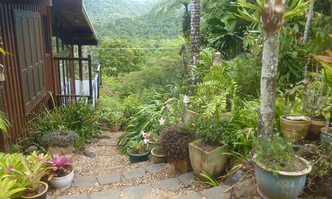 Diwan Casa | Daintree Holiday Homes - The Folly - Un retiro de naturaleza en Daintree