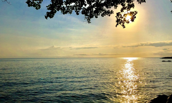 Forest Creek Cama Y Desayuno | Daintree Manor Bed & Breakfast