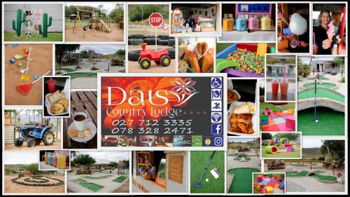 Springbok Casa | Daisy Country Lodge