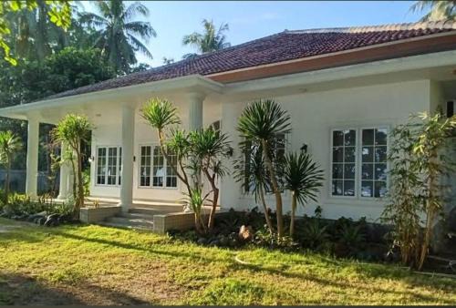 Krui Casa | Damar Tree Resort Krui