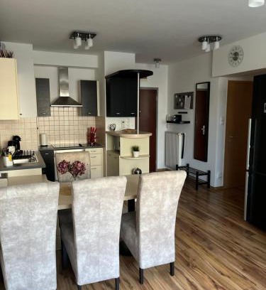 Vizafogo Apartamento | Danube Terrace Apartment with 2 Bedroom and Private Parking
