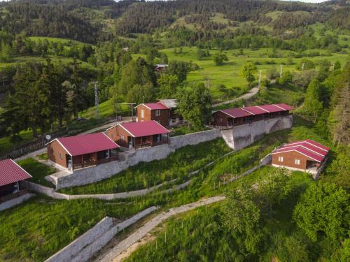 Ardanuc Complejo | Danzot Tatil Köyü ve Restoran