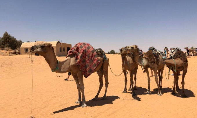 Houmt Souk Cama Y Desayuno | Dar Lola, guest house in the medina