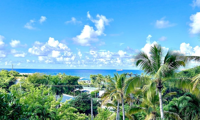 Flag Hill Casa | Darling Palms Retreat: Beachside 2-Bedroom Oasis