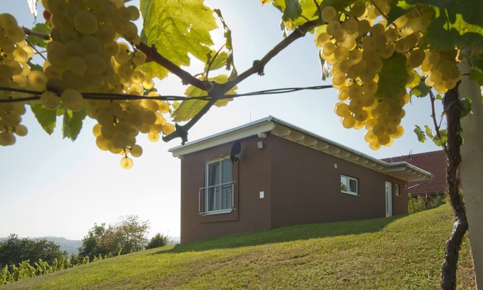 Johnsdorf-Brunn Casa | casa de vacaciones "das nussberg" en el viñedo