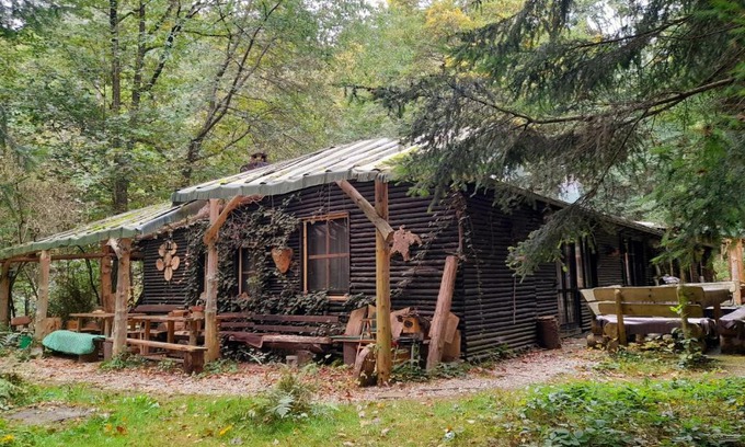 Bertsdorf-Hoernitz Apartamento | Das wilde Auwaldhaus