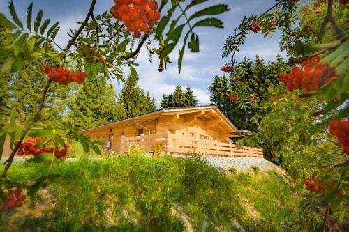 Mauth Chalet De Esquí | Das Wistlberg Wohlfühlchalet