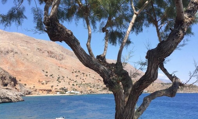Loutro Cama Y Desayuno | Daskalogiannis Hotel - Unforgetable Memories In Majestic Loutro