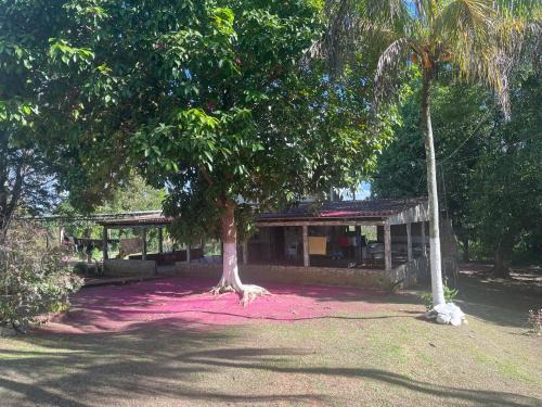 Rio Branco Cabina | Davi Modesto