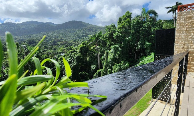 Rio Grande Apartamento | Davide-Colinas del Yunque***Paraiso Escondido***NEW