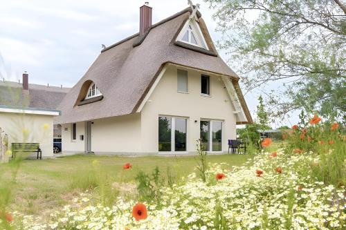 Pepelow Casa | De Henkieker - Ferienhaus mit Sauna und Kamin für 6 Personen