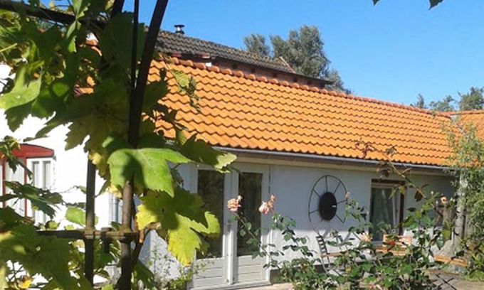 De Cocksdorp Apartamento | De Vrijheid-Melkstal