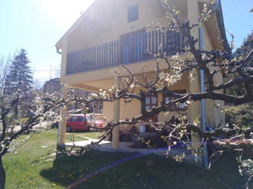 Jagodina Casa | Dedinje