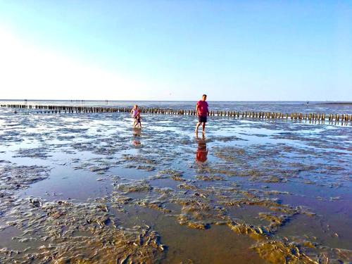 Friedrichskoog-Spitze Apartamento | Deichoase Strandhaus