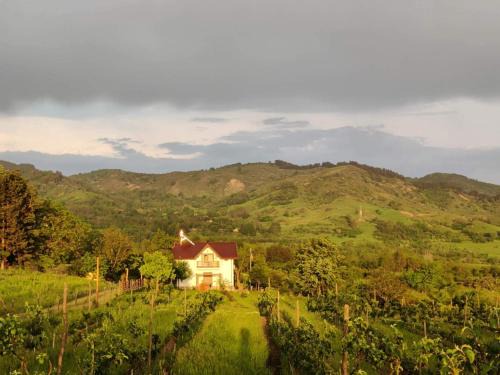 Scortoasa Casa | Deleni Retreat - Casa Sitaru