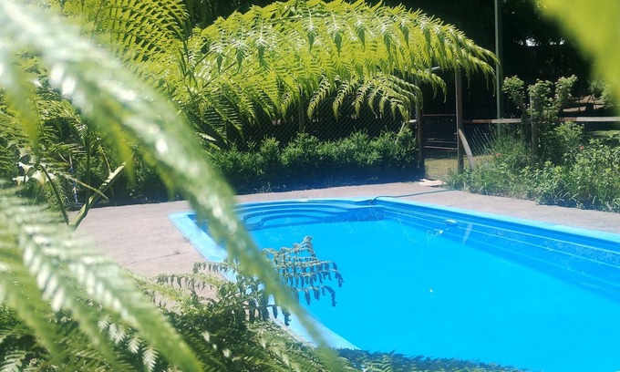 Panguipulli Cabina | Cabaña en el bosque con animalitos, hot tub y piscina