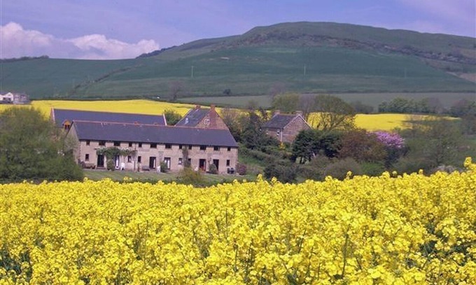 Bridport Cabaña | Encantadora casa de campo. Vistas impresionantes. A pocos minutos a pie de la playa de Seatown.