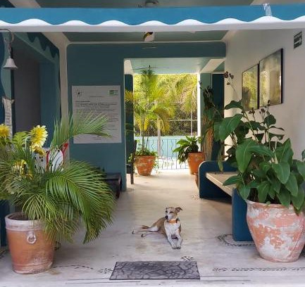 P Chahue Hotel | Delphinus Inn