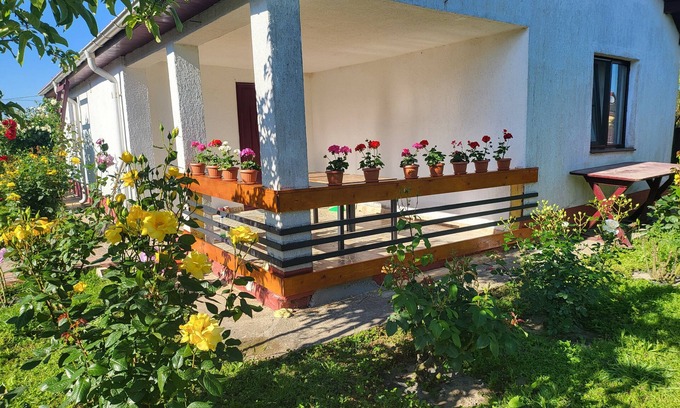 Crisan Casa | Delta crisan flamingo