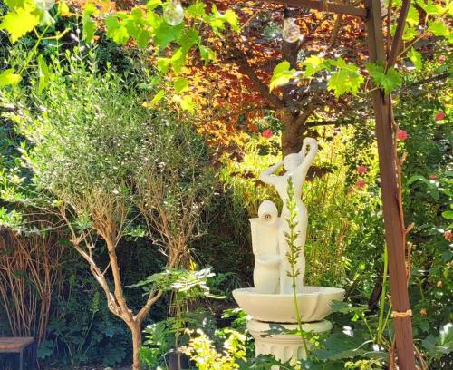 Tavernes Casa | Demeure vigneronne avec jardin 12 couchages 6 suites