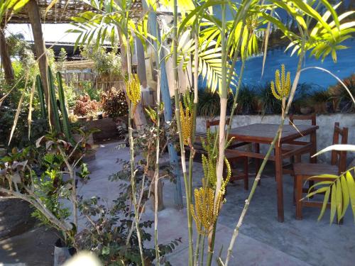 Ica Apartamento | Departamento 4p Tierra del Sol Eterno Ica centro