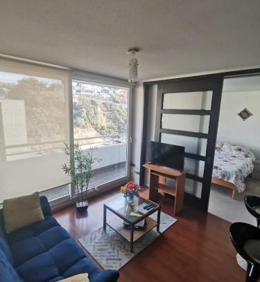 Vina del Mar Apartamento | Departamento central Viña del Mar
