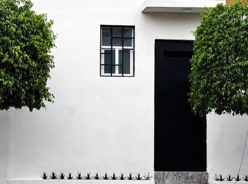Queretaro Apartamento | Departamento en Querétaro