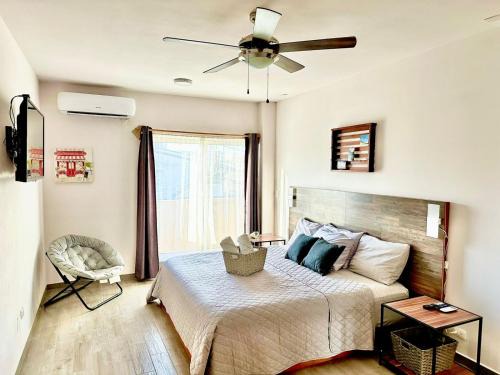 Los Cabos Apartamento | Departamento grande y centrico, con 3 recámaras y 2 baños completos.