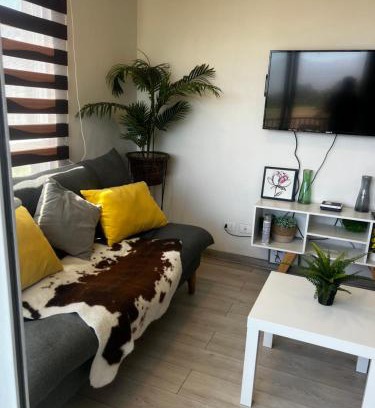 Rancagua Apartamento | Departamento safari 2 habitaciones 2 baños