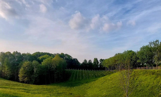 Venegazzu Casa | Dépendance at l'Eremo in the Prosecco hills
