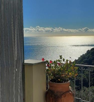 Recco Apartamento | Dependance Belvedere