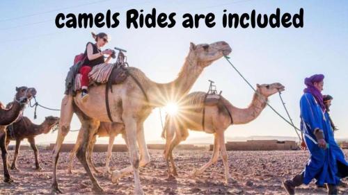 Amezrou Otro | Desert Camp in Zagora - Camel ride - Easy & Affordable Stays