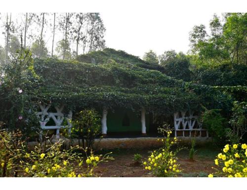 Koraput Casa | Desia Duduma, Puri