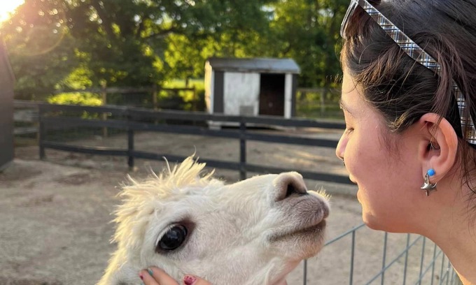 Selbyville Cabaña | Destination Location! Farm Animals, Tours, Beaches