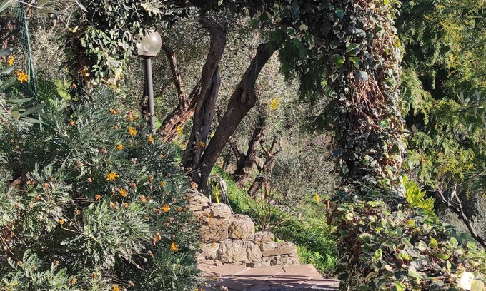 Leivi Casa | Detached cottage surrounded by greenery just minutes from the sea.