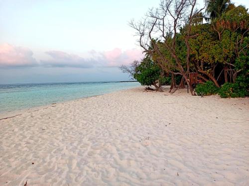Omadhoo Casa | Dhoadhi Beach Maldives