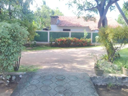 Ettukala Casa | Diana's place