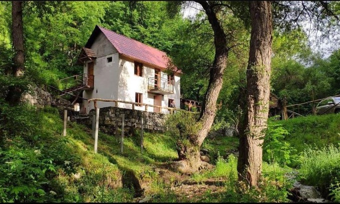 Dilijan Cabina | Dili dzor
