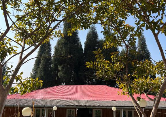 Darjeeling Casa | Dilpali Home Cum Farm stay